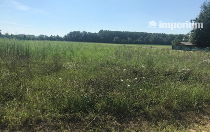 Predaj stavebné pozemky 769 m2 a 720 m2 v obci DUNASZIGET, Maďarsko - CENA : 61 eur / m2