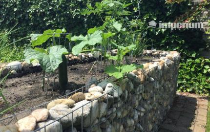 Na predaj 3 izbový rodinný dom v obci Holice pri R7, Dunajská Streda, Trnavský kraj