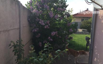 Na predaj 3 izbový rodinný dom v obci Holice pri R7, Dunajská Streda, Trnavský kraj