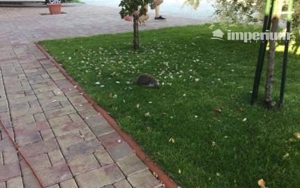 Na predaj 3 izbový rodinný dom v obci Holice pri R7, Dunajská Streda, Trnavský kraj