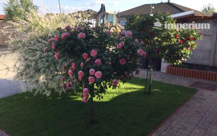 Na predaj 3 izbový rodinný dom v obci Holice pri R7, Dunajská Streda, Trnavský kraj