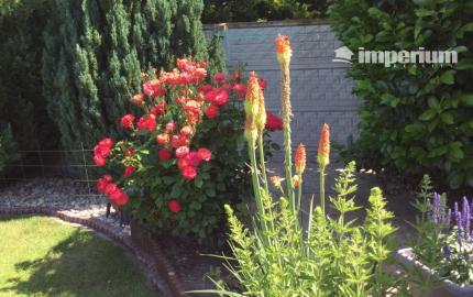 Na predaj 3 izbový rodinný dom v obci Holice pri R7, Dunajská Streda, Trnavský kraj