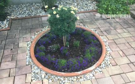 Na predaj 3 izbový rodinný dom v obci Holice pri R7, Dunajská Streda, Trnavský kraj