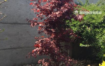 Na predaj 3 izbový rodinný dom v obci Holice pri R7, Dunajská Streda, Trnavský kraj