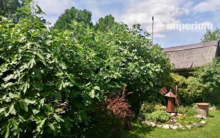 PREDAJ – pozemok s rekreačnou chatou blízku brehu Dunaja v obci Vojka nad Dunajom.