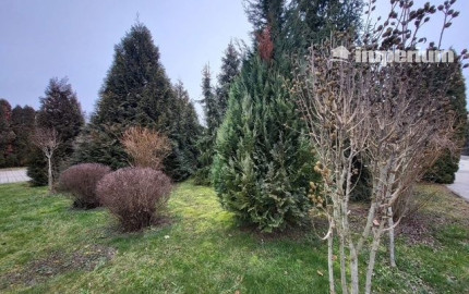 Predaj viacgeneračného domu v maďarskom meste Mosonmagyaróvár.