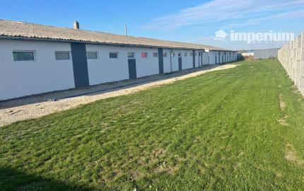 Prenájom skladových / výrobných priestorov 2km od Dunajskej Stredy, Šipošovské Kračany. Warehouse and production hall for a rent.