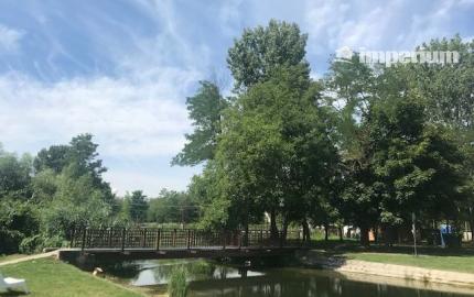 Predaj stavebné pozemky 769 m2 a 720 m2 v obci DUNASZIGET, Maďarsko - CENA : 61 eur / m2