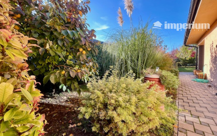 Na predaj 4 izb. bungalov v Kvetoslavove na 6,2 árovom pozemku.