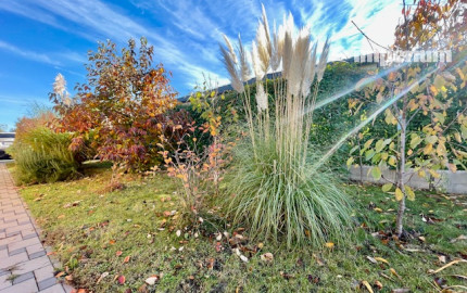 Na predaj 4 izb. bungalov v Kvetoslavove na 6,2 árovom pozemku.