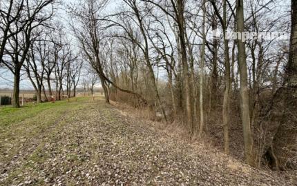 Ohrady – predaj celoročne obývateľnej záhradnej chaty v rekreačnej časti pri Klátovskom ramene.