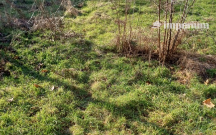 Pekný slnečný stavebný pozemok 750m2 na predaj - Gabčíkovo.