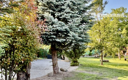 Komfortné bývanie v dvojgeneračnom 4 izbovom dome -Horná Potôň.