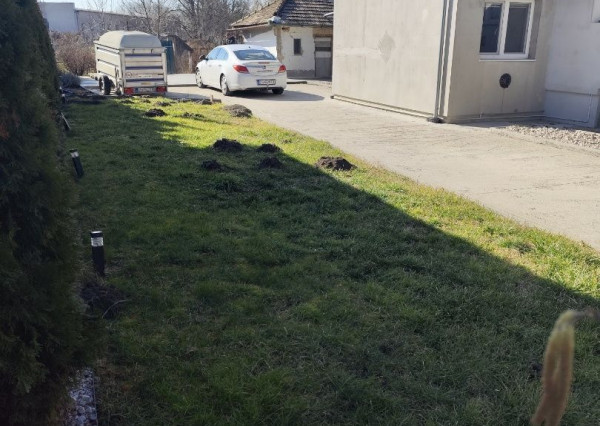 Na predaj 4  - izbový rodinný dom s veľkou záhradou v obci Veľké Kosihy