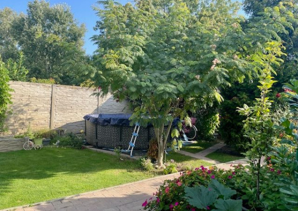 Predaj 5 izbový rodinný dom v obci Rohovce, neďaleko R7, len 8km od Šamorína