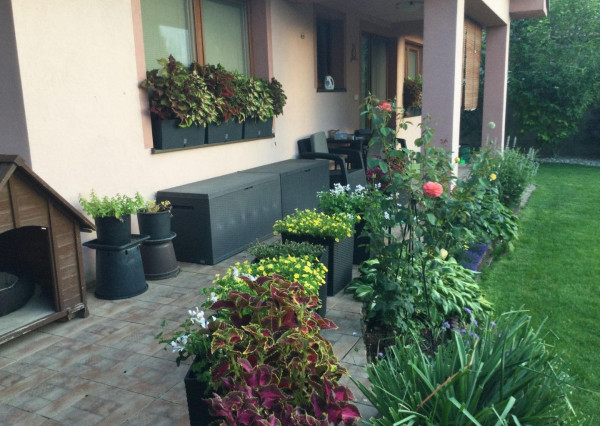 Na predaj 3 izbový rodinný dom v obci Holice pri R7, Dunajská Streda, Trnavský kraj