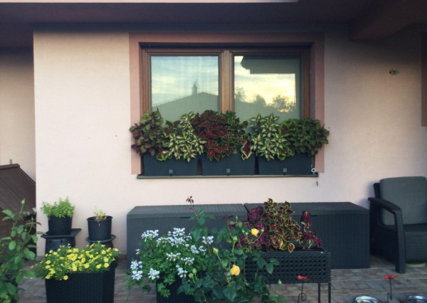 Na predaj 3 izbový rodinný dom v obci Holice pri R7, Dunajská Streda, Trnavský kraj