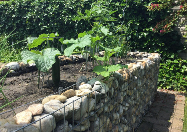 Na predaj 3 izbový rodinný dom v obci Holice pri R7, Dunajská Streda, Trnavský kraj