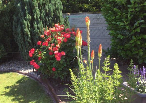 Na predaj 3 izbový rodinný dom v obci Holice pri R7, Dunajská Streda, Trnavský kraj