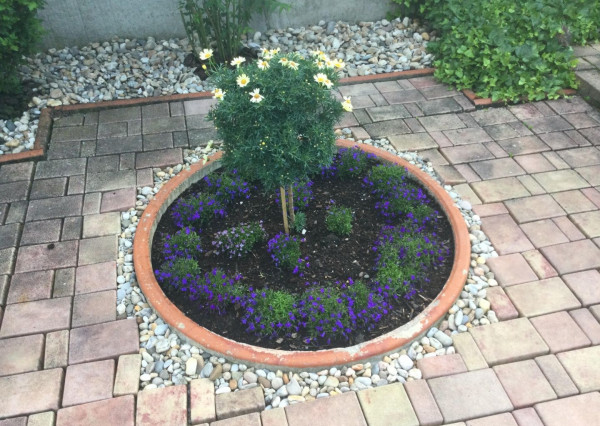 Na predaj 3 izbový rodinný dom v obci Holice pri R7, Dunajská Streda, Trnavský kraj