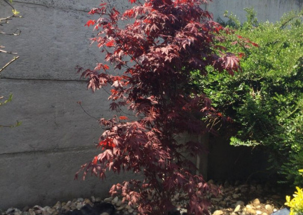 Na predaj 3 izbový rodinný dom v obci Holice pri R7, Dunajská Streda, Trnavský kraj