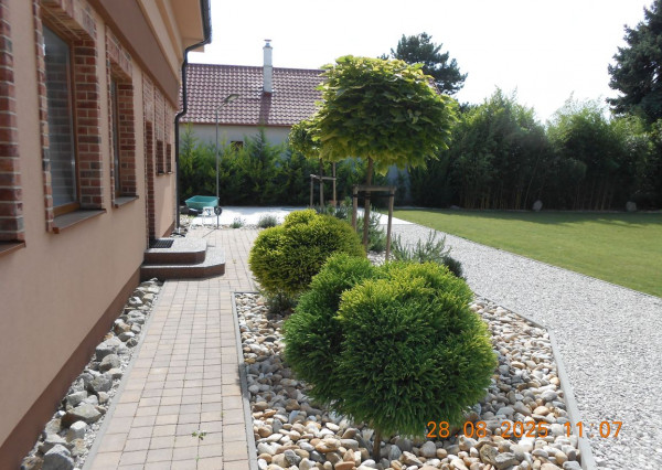 Nájom nového zariadeného apartmánu v Šamoríne