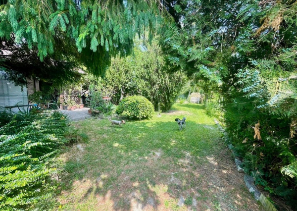 PREDAJ – pozemok s rekreačnou chatou blízku brehu Dunaja v obci Vojka nad Dunajom.