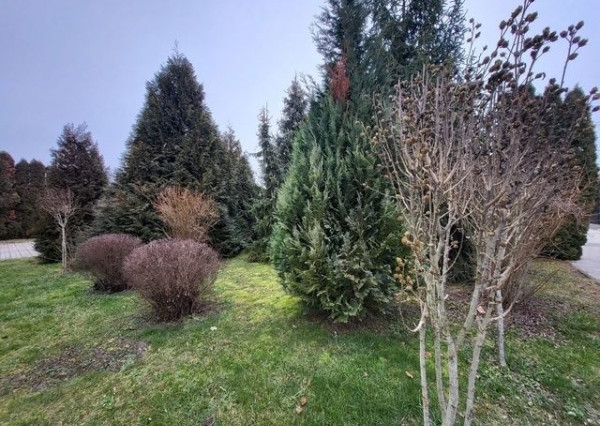 Predaj viacgeneračného domu v maďarskom meste Mosonmagyaróvár.