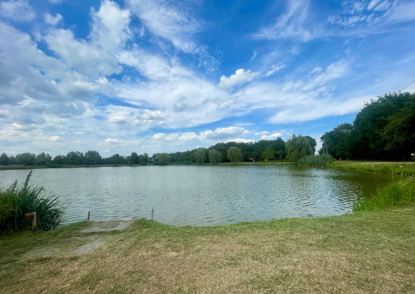 Imperium RK Vám ponúka na predaj 4 izbový rodinný dom za susednými hranicami v  HEGYESHALOME.