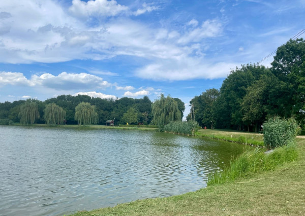 Imperium RK Vám ponúka na predaj 4 izbový rodinný dom za susednými hranicami v  HEGYESHALOME.