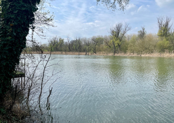 Na predaj rekreačný pozemok pri Dunaji v rekrečnej časti obce Bodíky