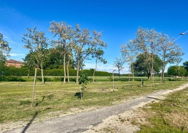 Predaj stavebné pozemky 769 m2 a 720 m2 v obci DUNASZIGET, Maďarsko - CENA : 61 eur / m2