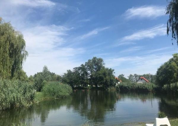 Predaj stavebné pozemky 769 m2 a 720 m2 v obci DUNASZIGET, Maďarsko - CENA : 61 eur / m2