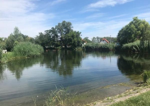 Predaj stavebné pozemky 769 m2 a 720 m2 v obci DUNASZIGET, Maďarsko - CENA : 61 eur / m2