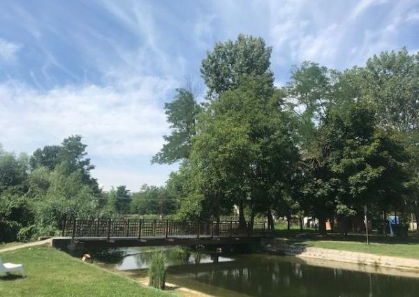 Predaj stavebné pozemky 769 m2 a 720 m2 v obci DUNASZIGET, Maďarsko - CENA : 61 eur / m2