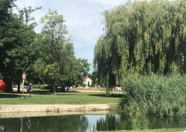 Predaj stavebné pozemky 769 m2 a 720 m2 v obci DUNASZIGET, Maďarsko - CENA : 61 eur / m2