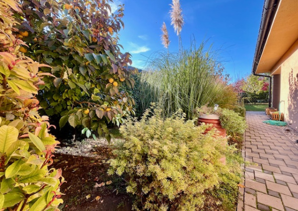 Na predaj 4 izb. bungalov v Kvetoslavove na 6,2 árovom pozemku.