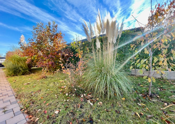 Na predaj 4 izb. bungalov v Kvetoslavove na 6,2 árovom pozemku.