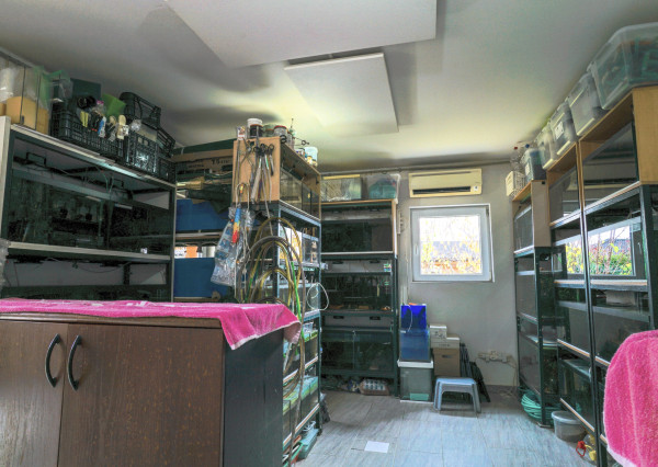 Na predaj 4 izb. bungalov v Kvetoslavove na 6,2 árovom pozemku.