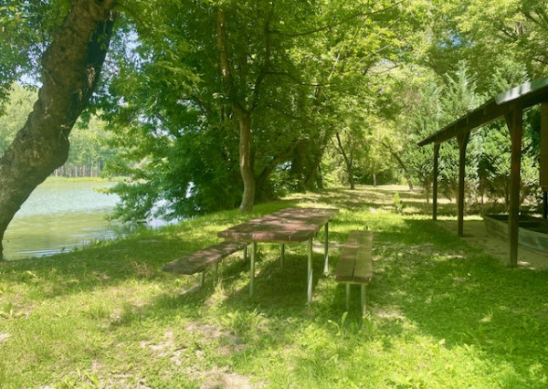 BODÍKY - na predaj pozemok s rekreačnou chatou priamo na brehu Dunaja v Bodíkoch.