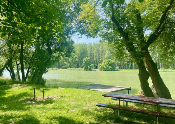 BODÍKY - na predaj pozemok s rekreačnou chatou priamo na brehu Dunaja v Bodíkoch.
