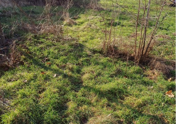 Pekný slnečný stavebný pozemok 750m2 na predaj - Gabčíkovo.