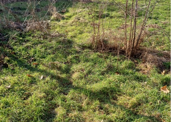 Pekný slnečný stavebný pozemok 750m2 na predaj - Gabčíkovo.