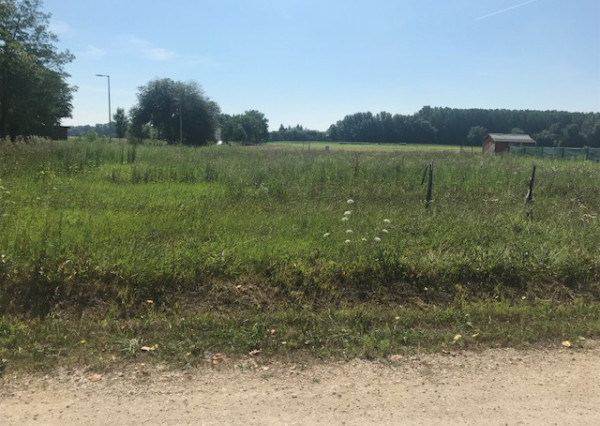 Predaj stavebné pozemky 769 m2 a 720 m2 v obci DUNASZIGET, Maďarsko - CENA : 61 eur / m2