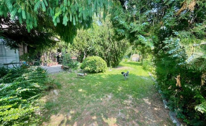 PREDAJ – pozemok s chatou blízku brehu Dunaja, Vojka nad Dunajom. - fotografia 5