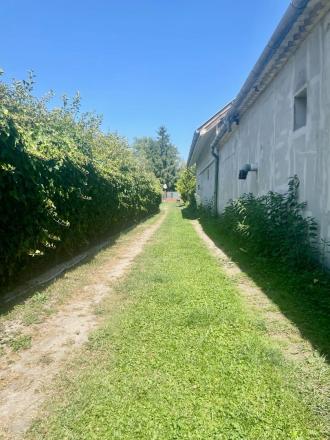 PREDAJ – pozemok s chatou blízku brehu Dunaja, Vojka nad Dunajom. - fotografia 7