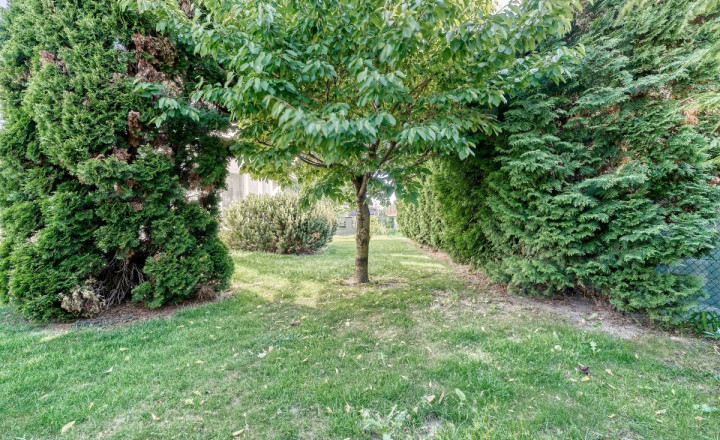 PRIESTRANNÝ RODINNÝ DOM V HAMULIAKOVE na pozemku 625 m2 - fotografia 32