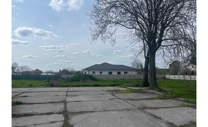 Predaj : pozemok 1550 m2 aj pre developerov  v obci Veľké Blahovo. - fotografia 1