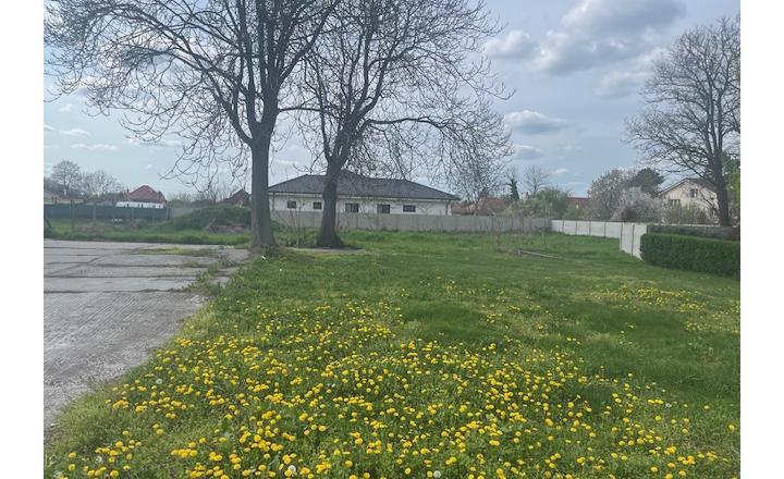 Predaj : pozemok 1550 m2 aj pre developerov  v obci Veľké Blahovo. - fotografia 6